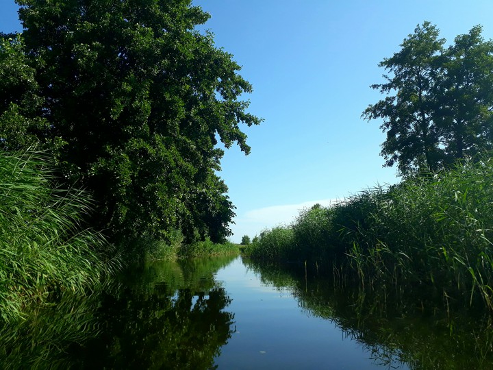 On the canoe