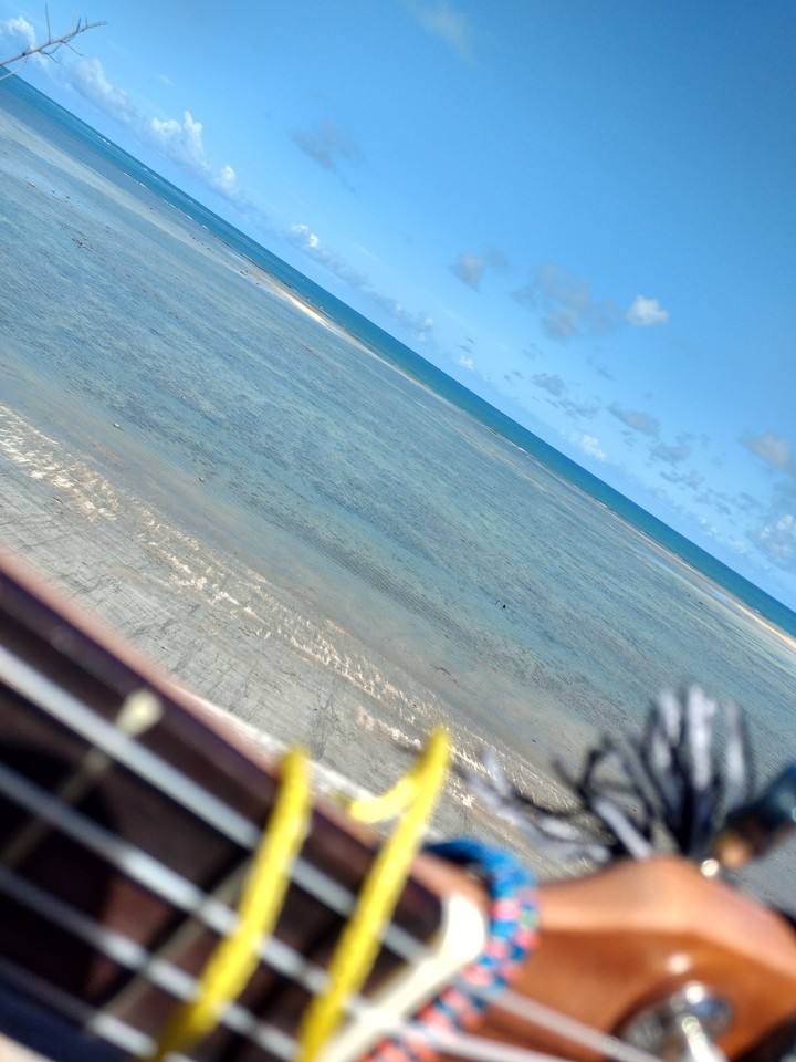 Music in the sea