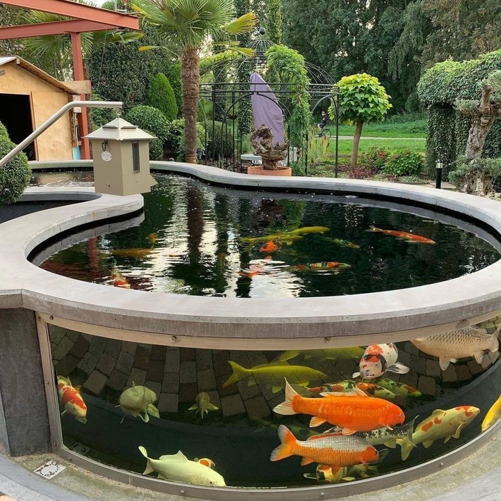 fish tank