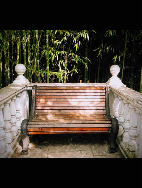 On the bench