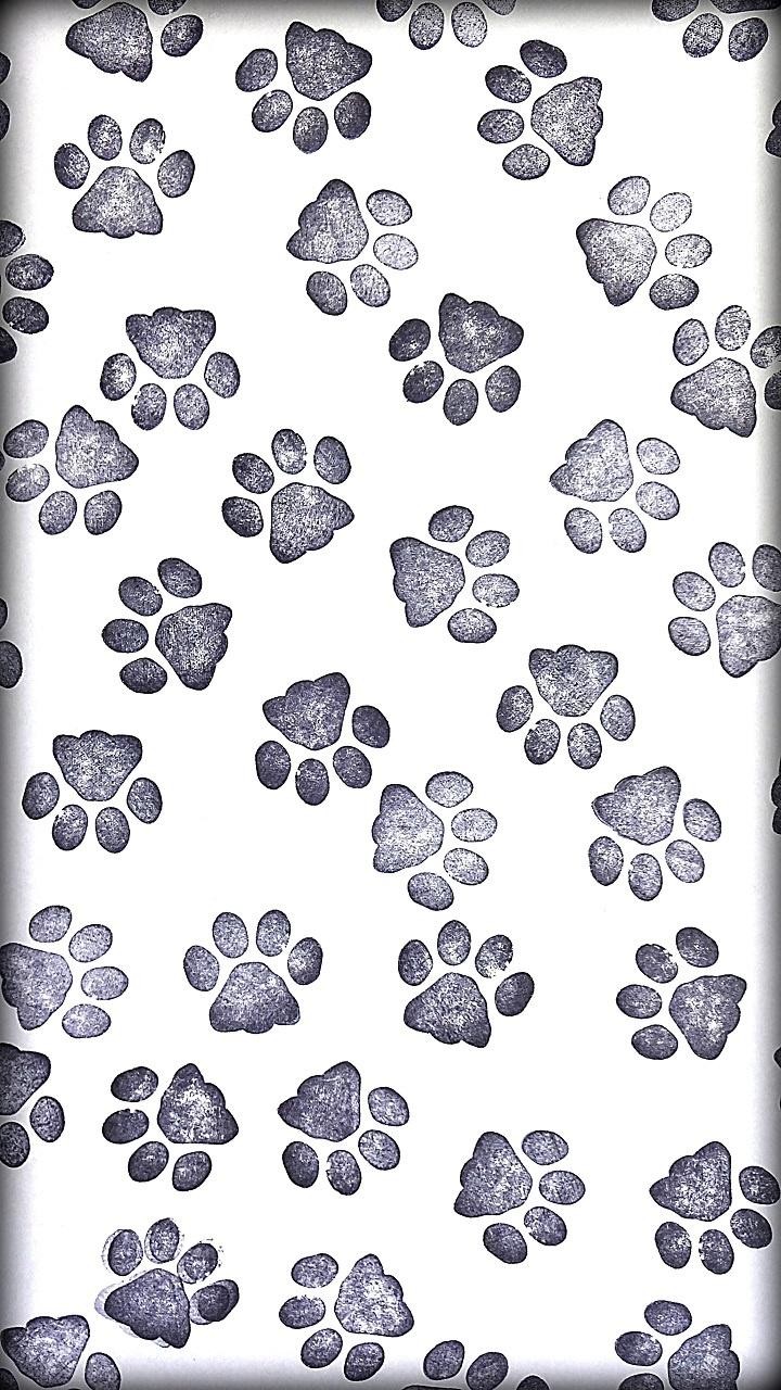 light paw point