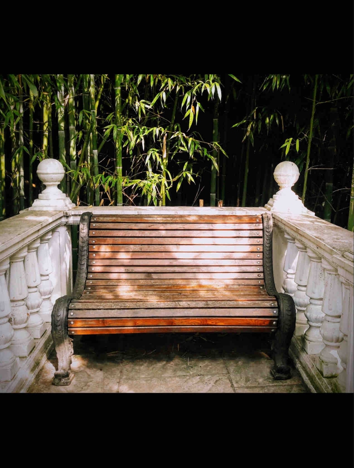 On the bench