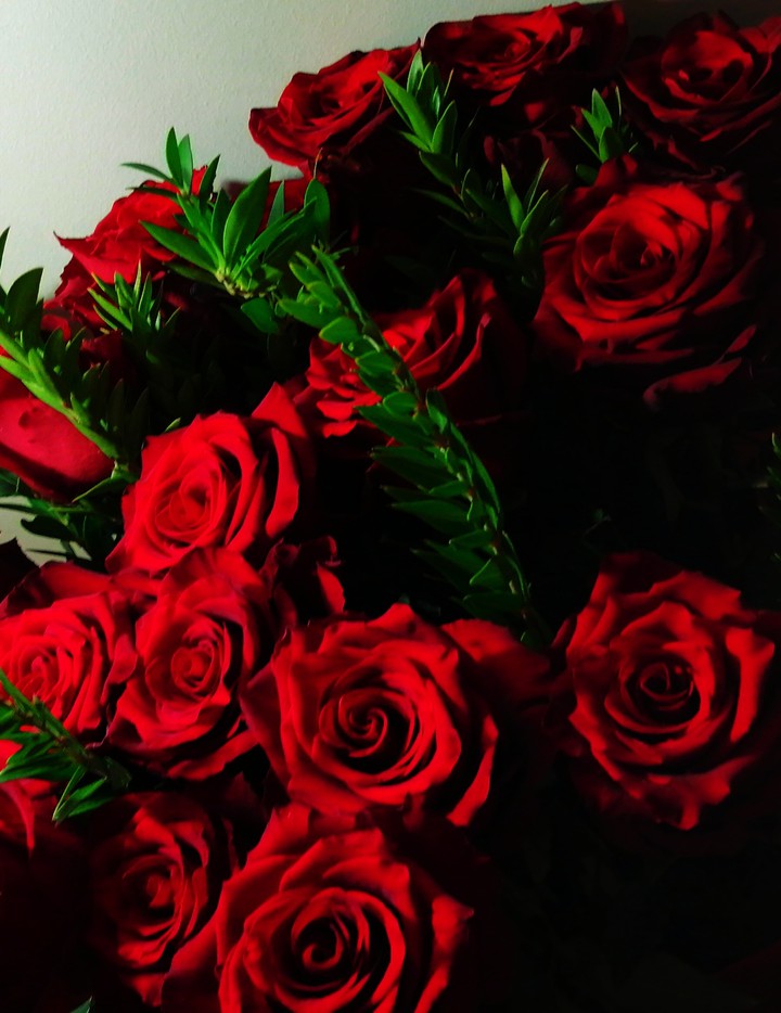 Roses