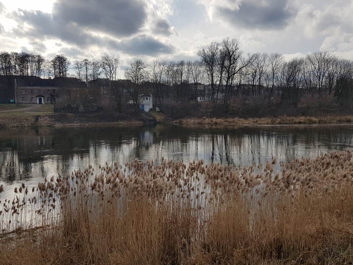 spring is coming