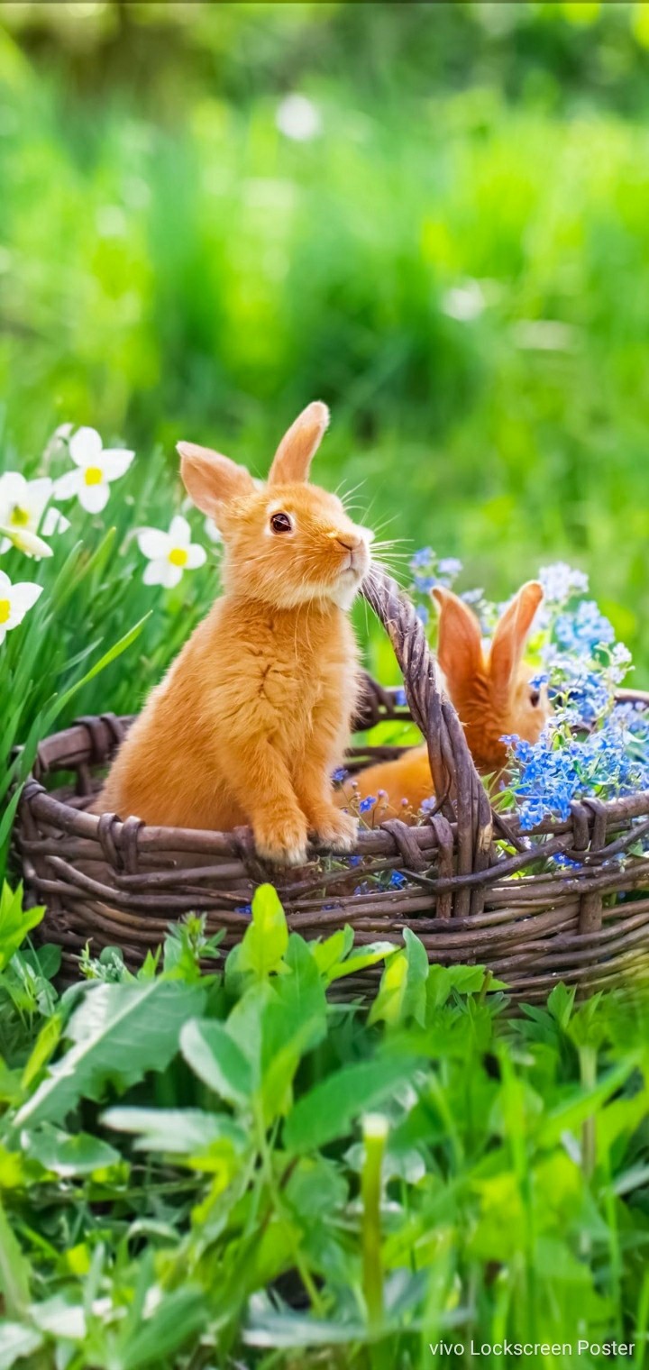 cute