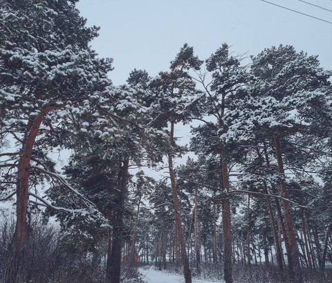 winter