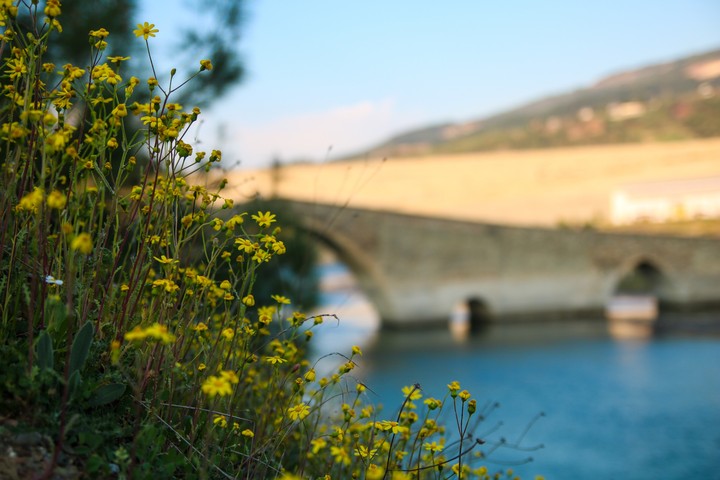 köprü