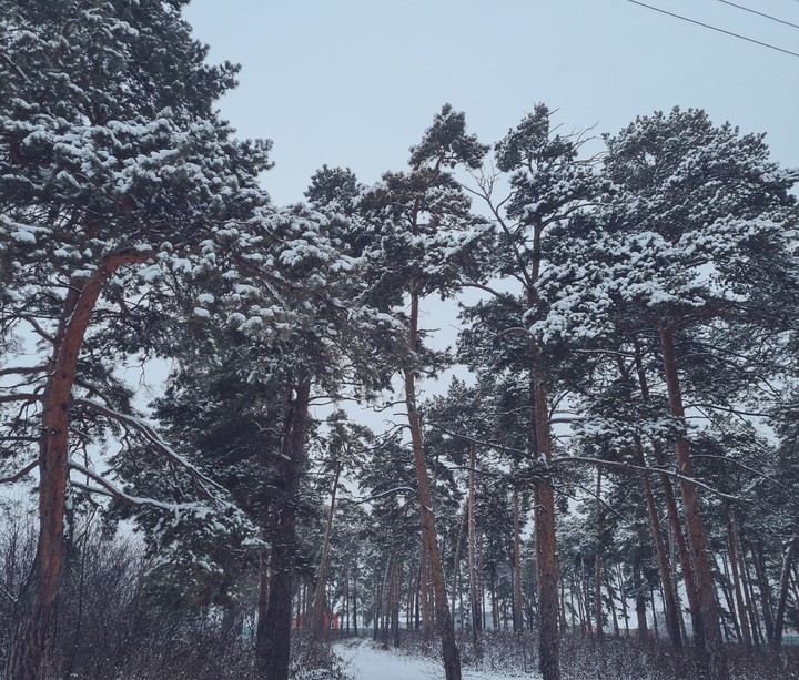 winter