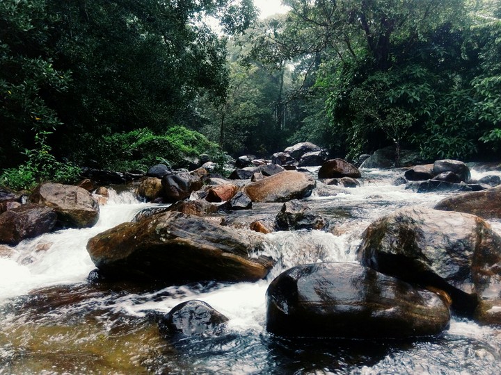 Trekking