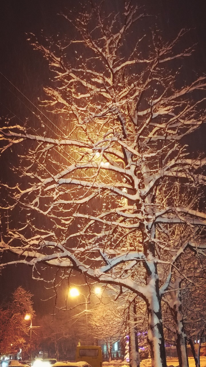 #snow#winter