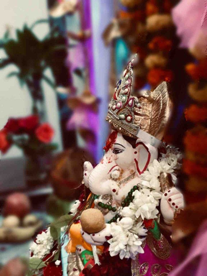 Ganpati❤️