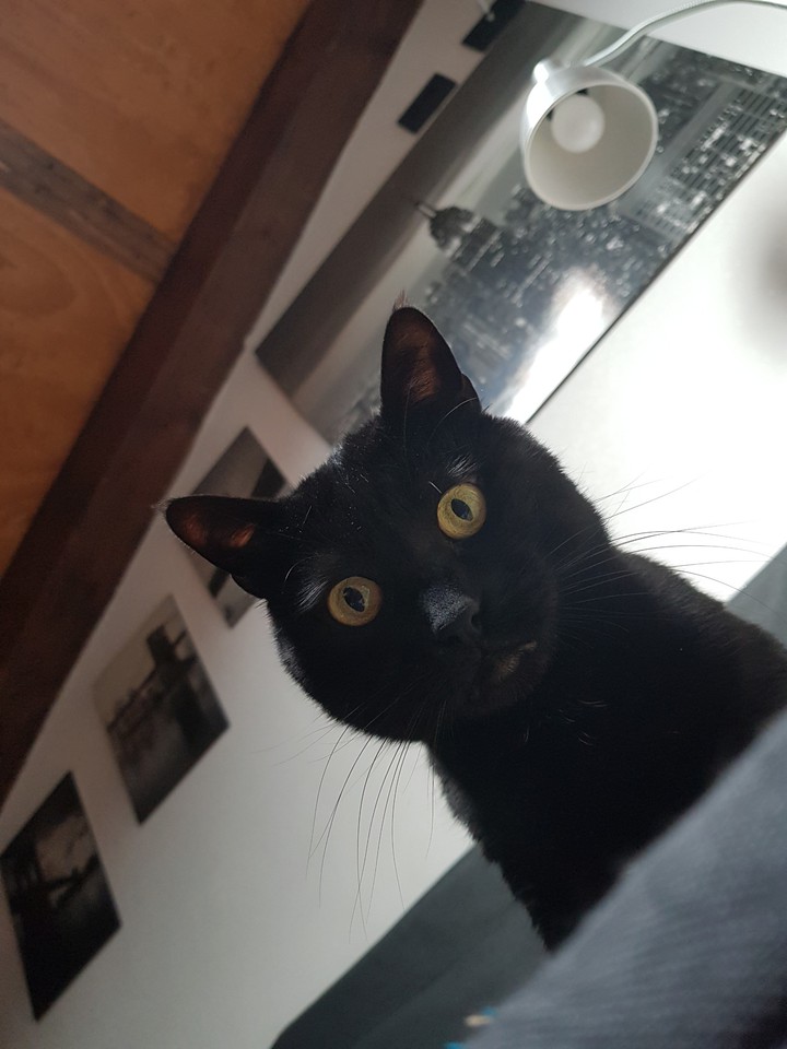 ^¥^