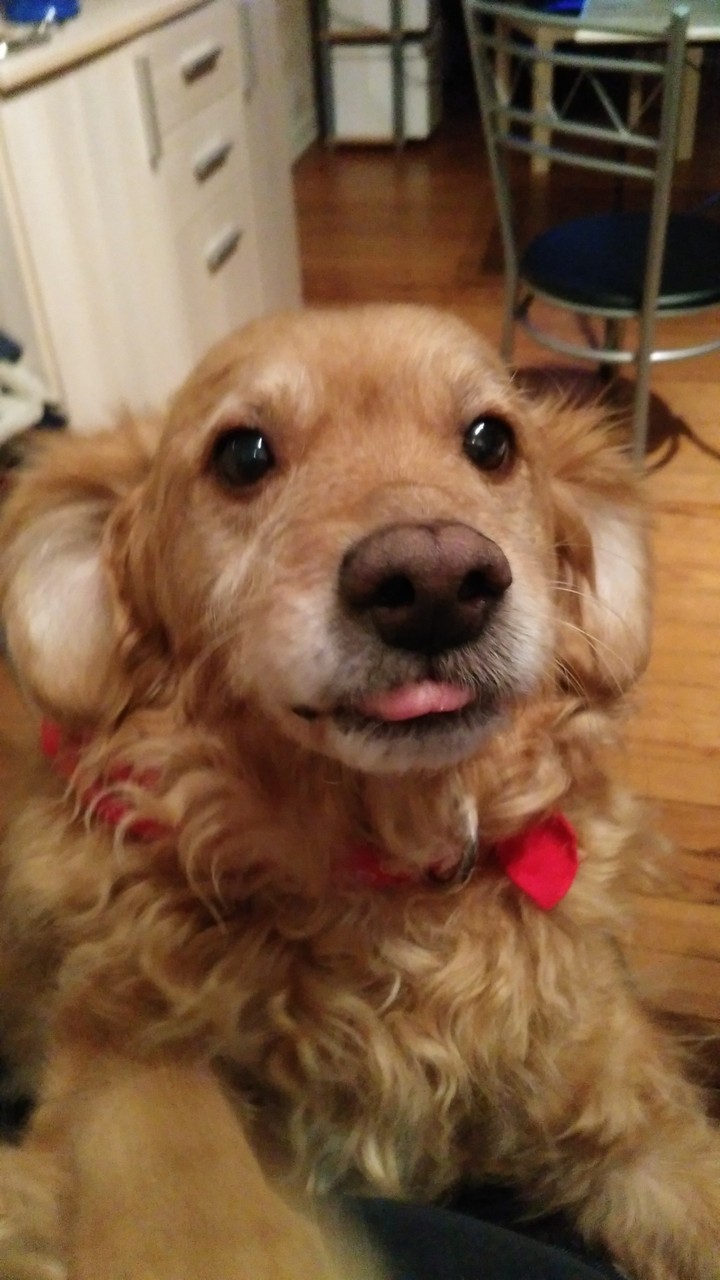 DUKE