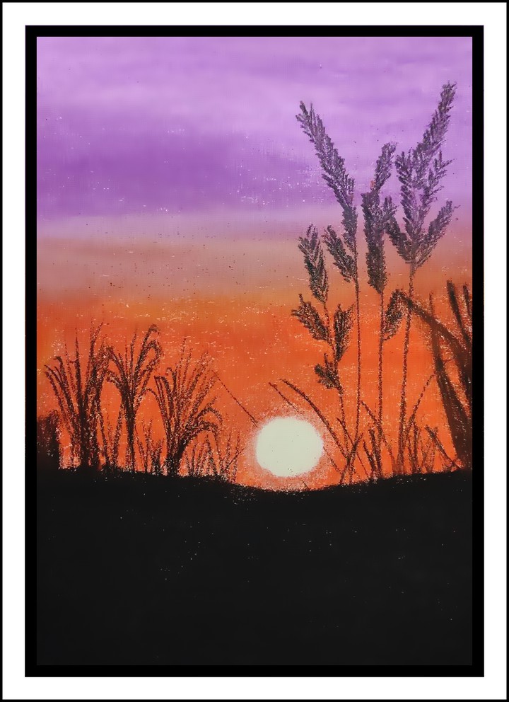 Beautiful sunset with crop plant
