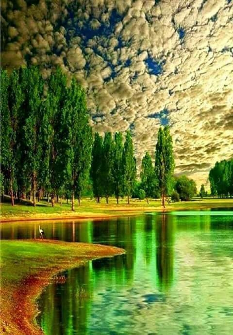 nature
