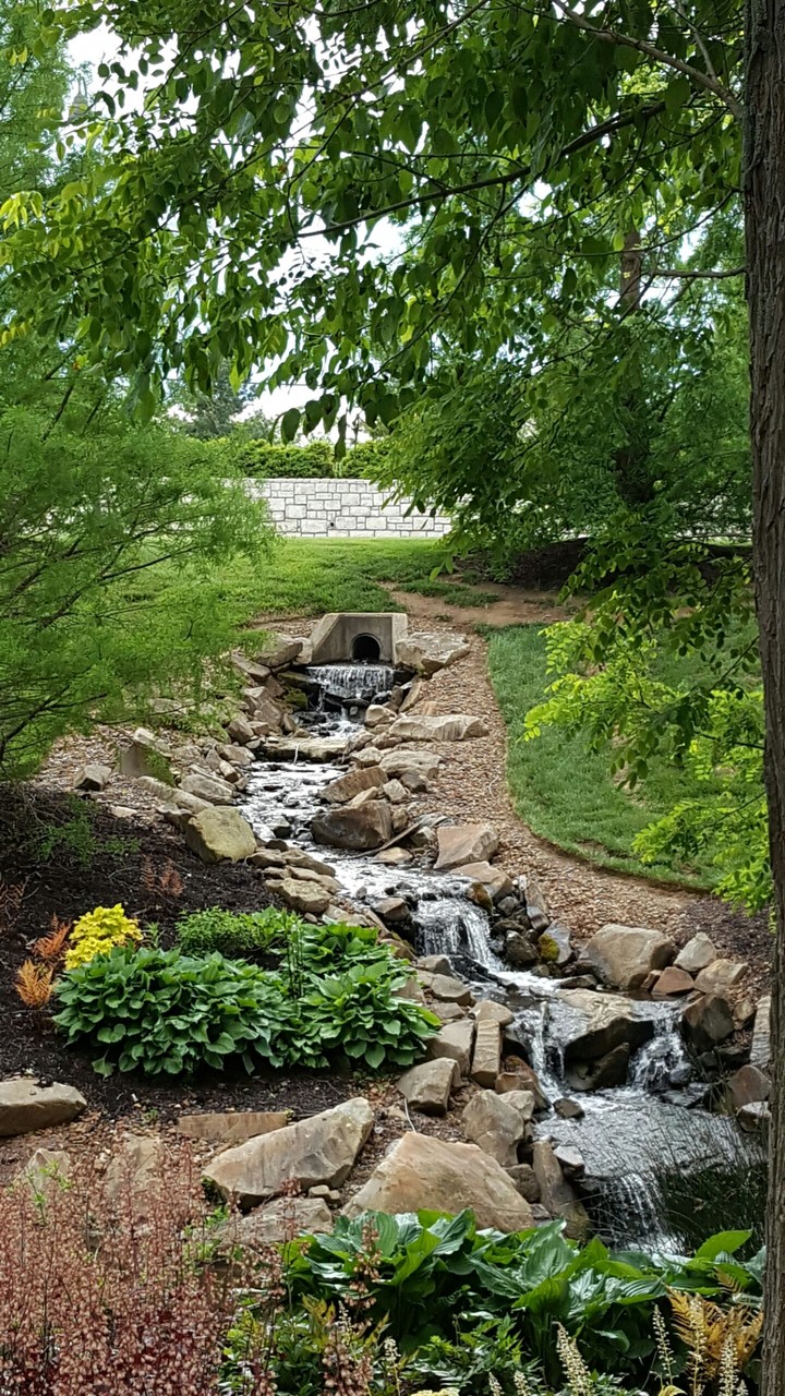 nature