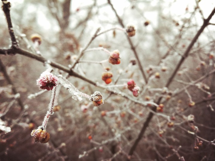winter jewlery