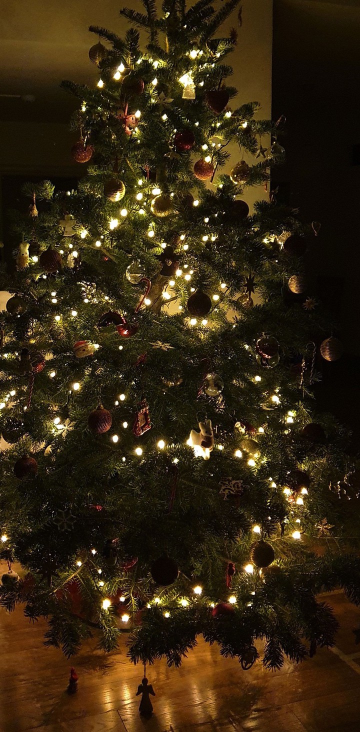 christmas tree