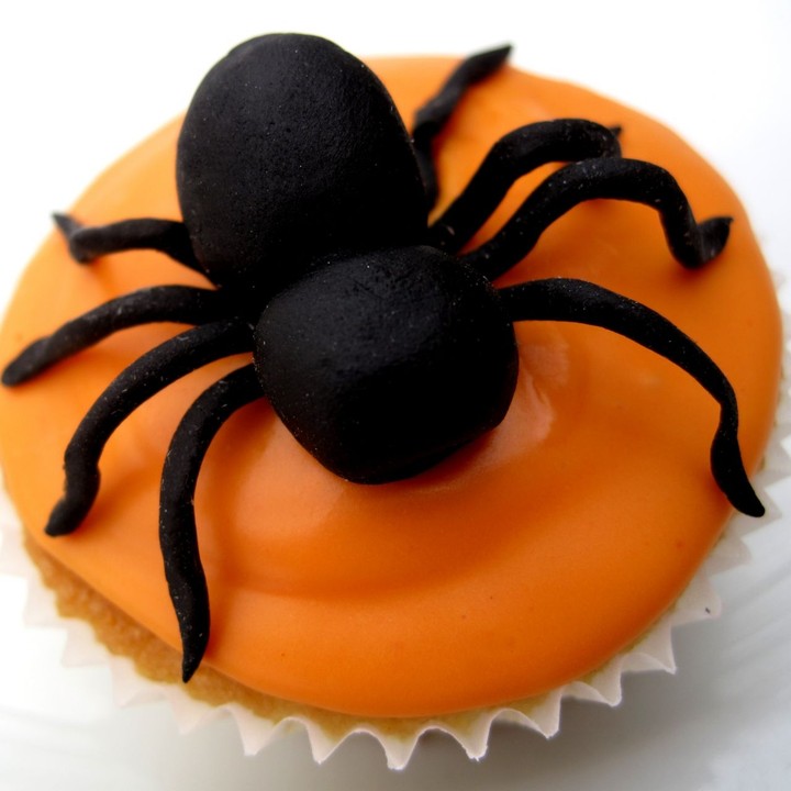 Spindel muffins