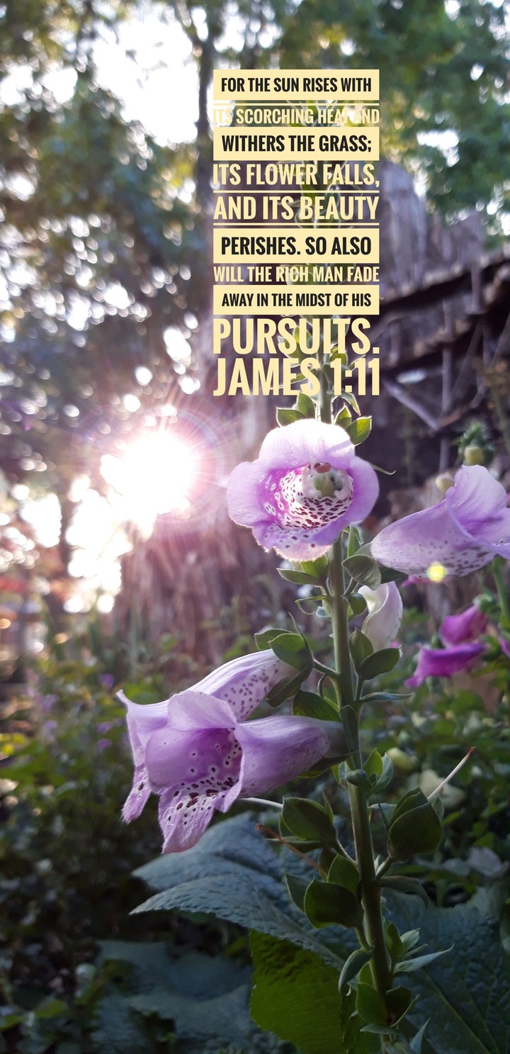 James 1:11