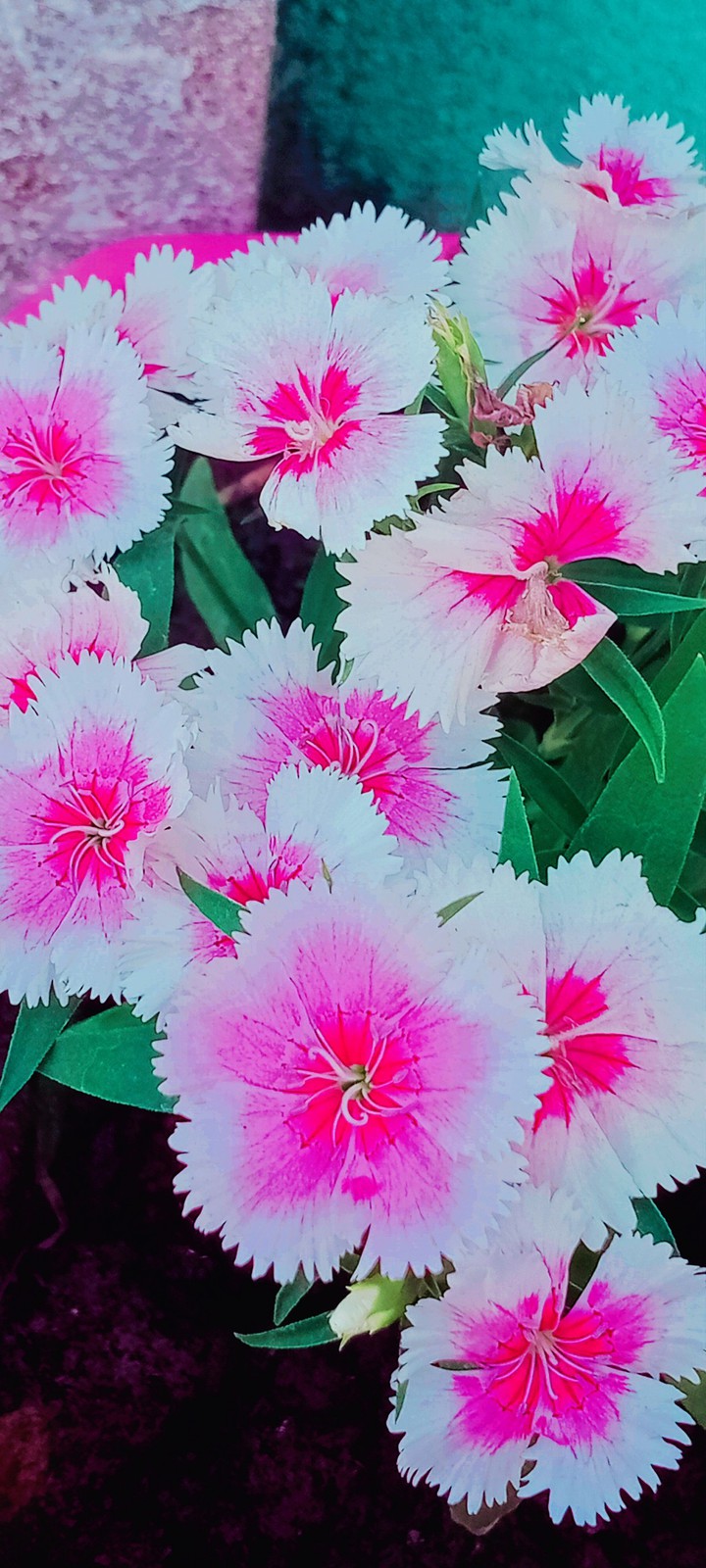 .