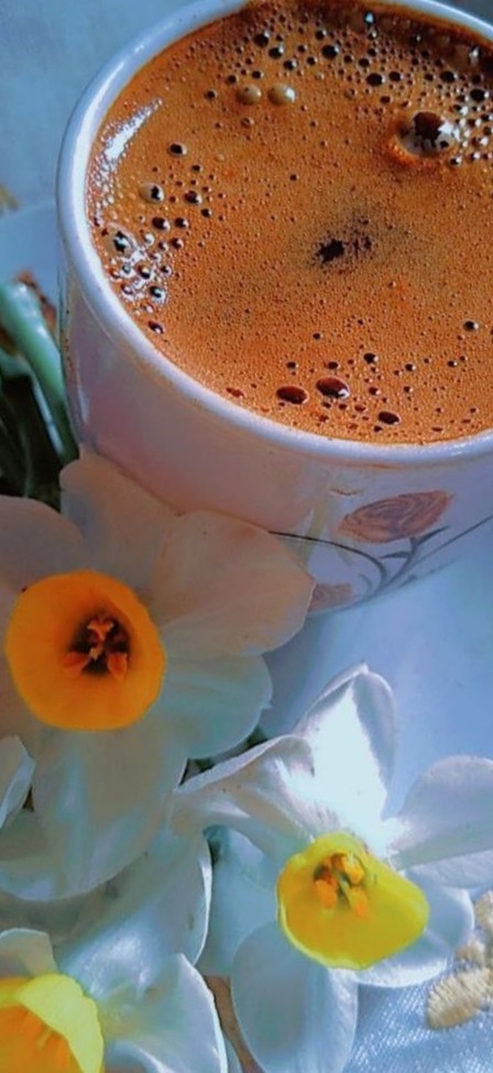Good morning! (Kalimèra/ ed.)