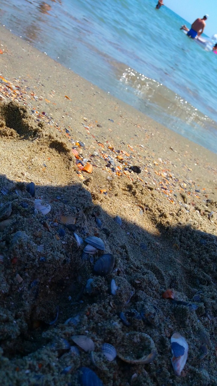 Black Sea