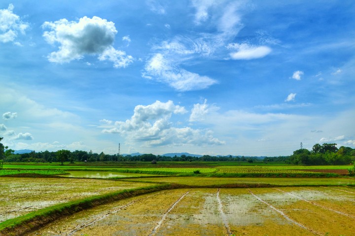 earth!!