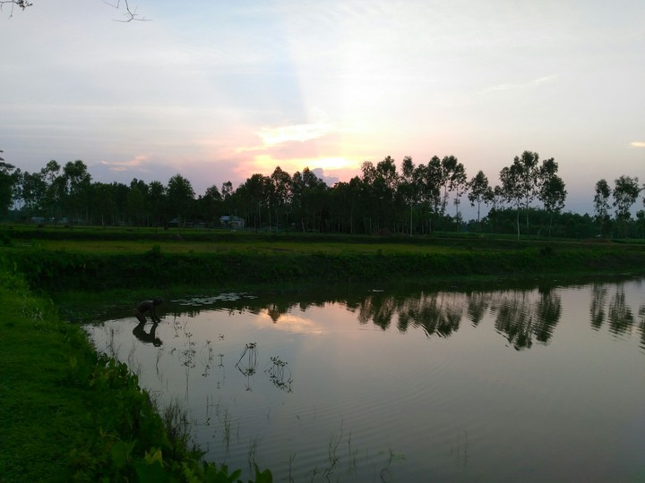 native land