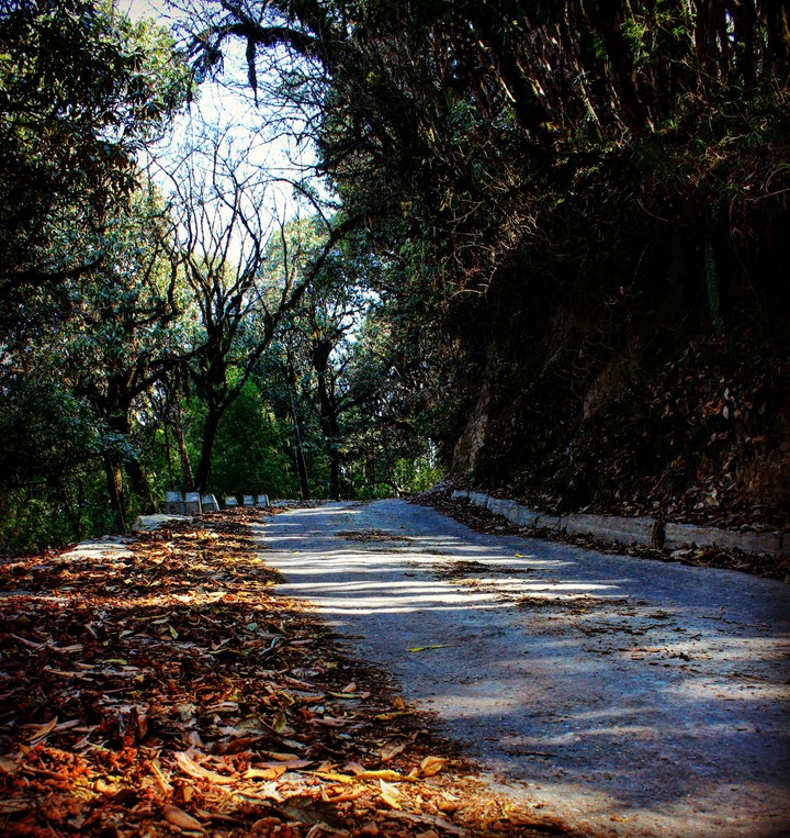 Way to Heaven