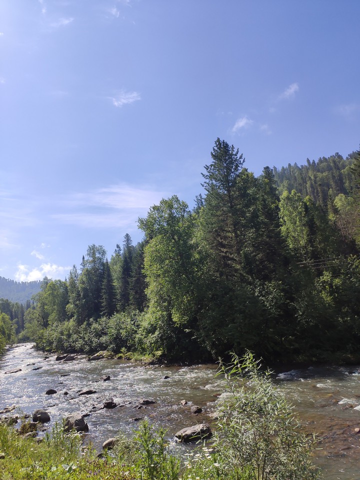mountain Altai