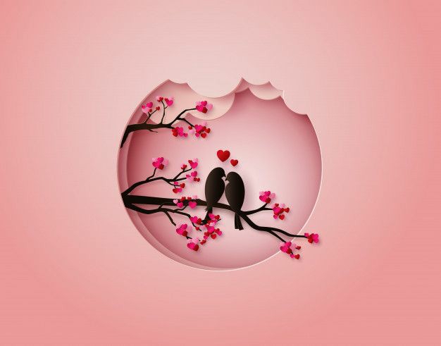love bird's
