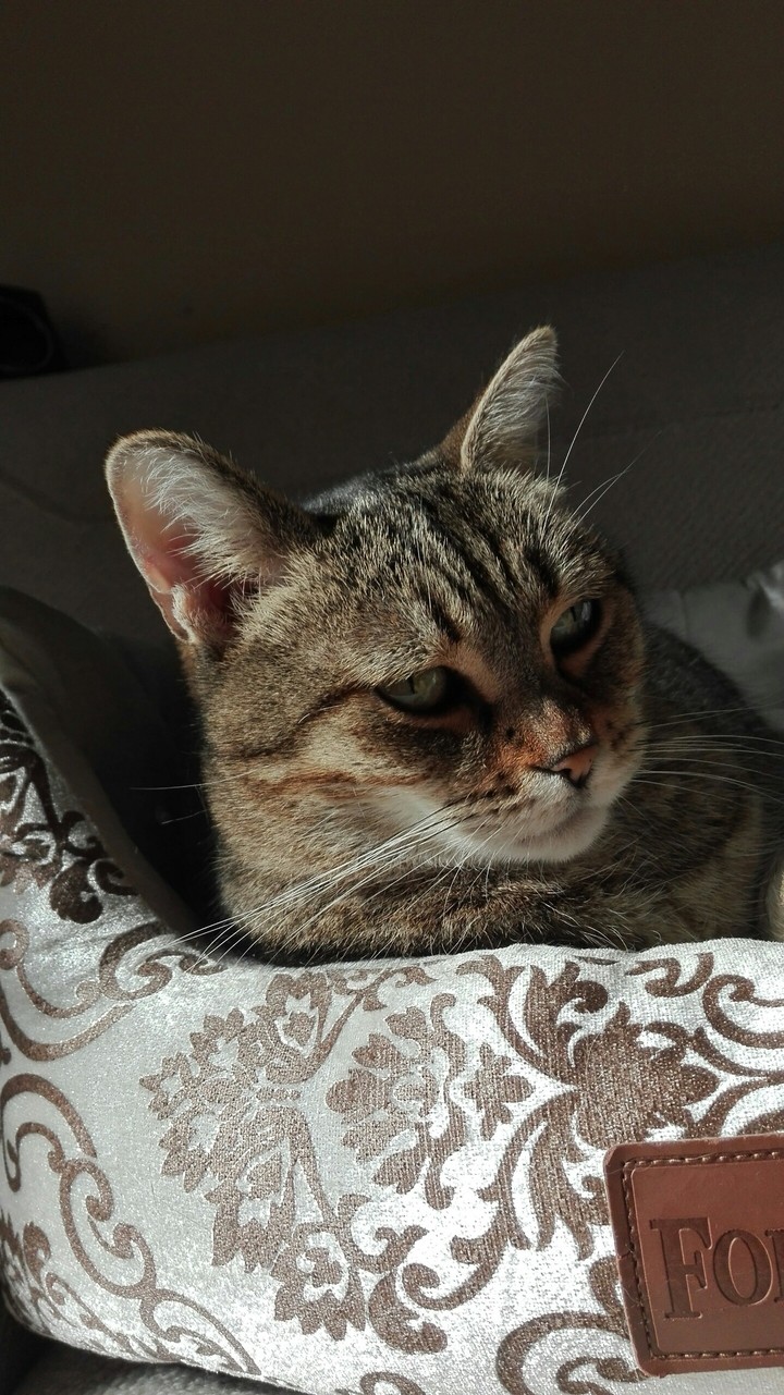 Mimì