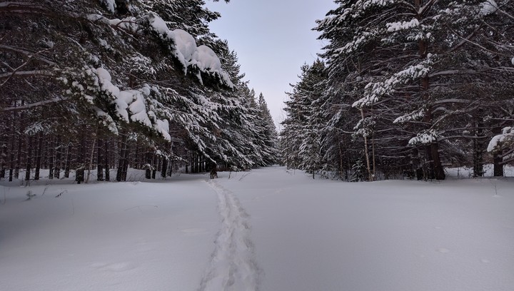 snowshoes trail