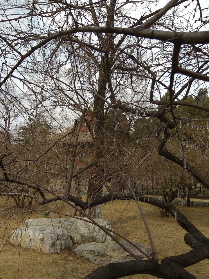 at Beijing university
