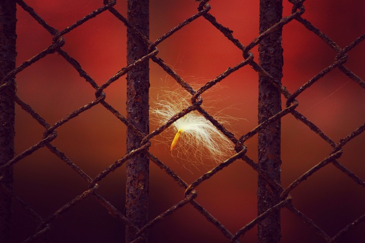 Rusted Soul