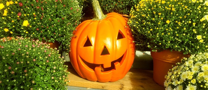 Hello Autumn