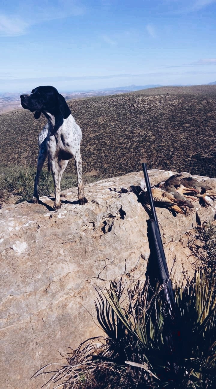 la chasse