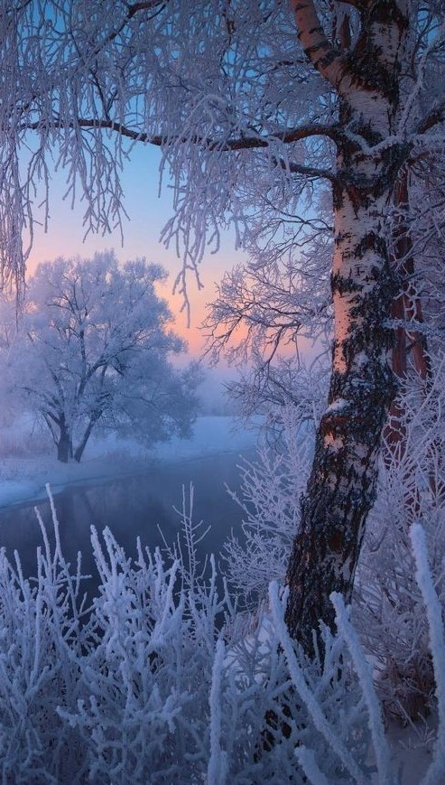 Just the beauty of winter