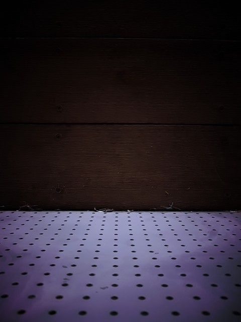 dots