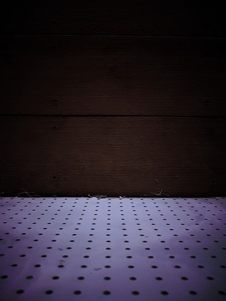 dots