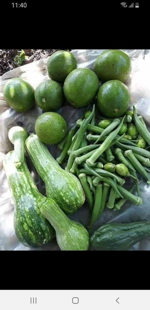 тапети fruit, plant