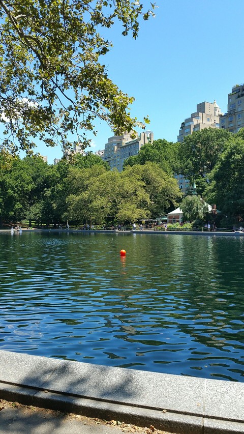 Central Park NYC