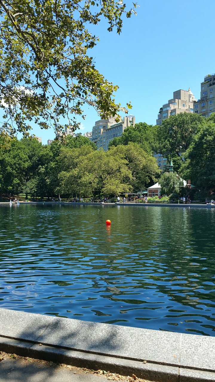 Central Park NYC