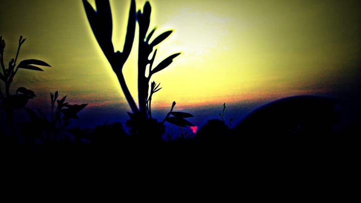 beatutiful sunset...of nature life