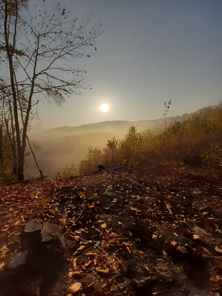 wild autumn
