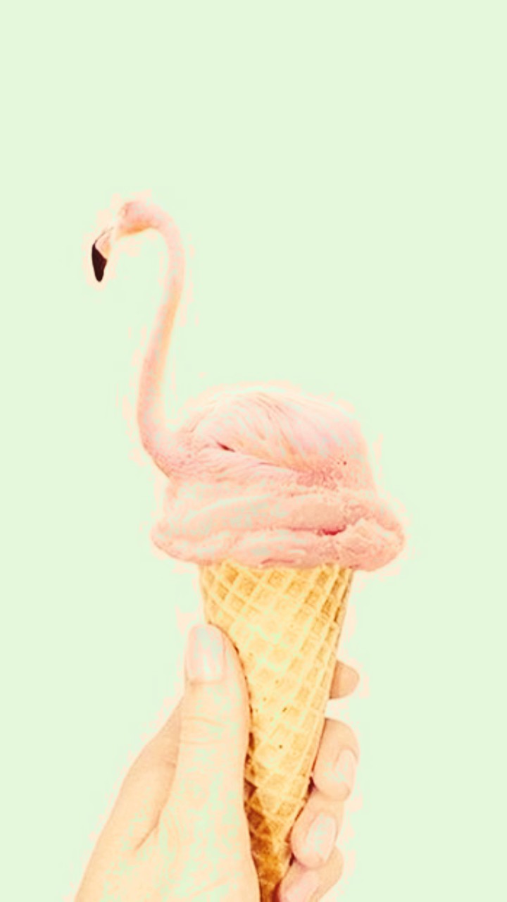 retro flamingo icecream