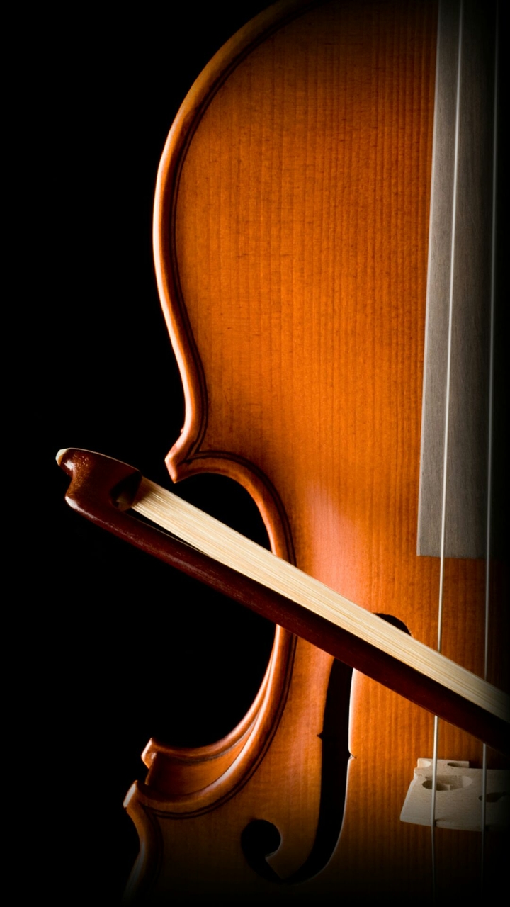 violin
