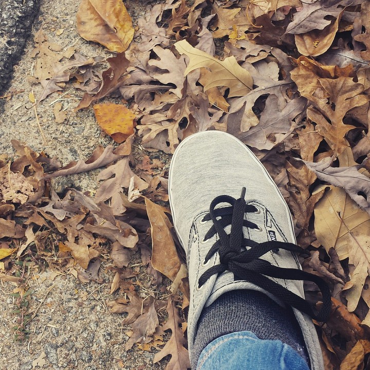Fall shoe lace