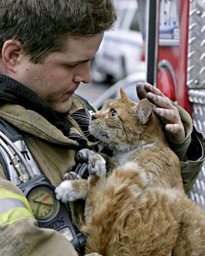 ❤